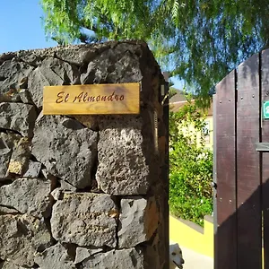 El Almendro Tegueste